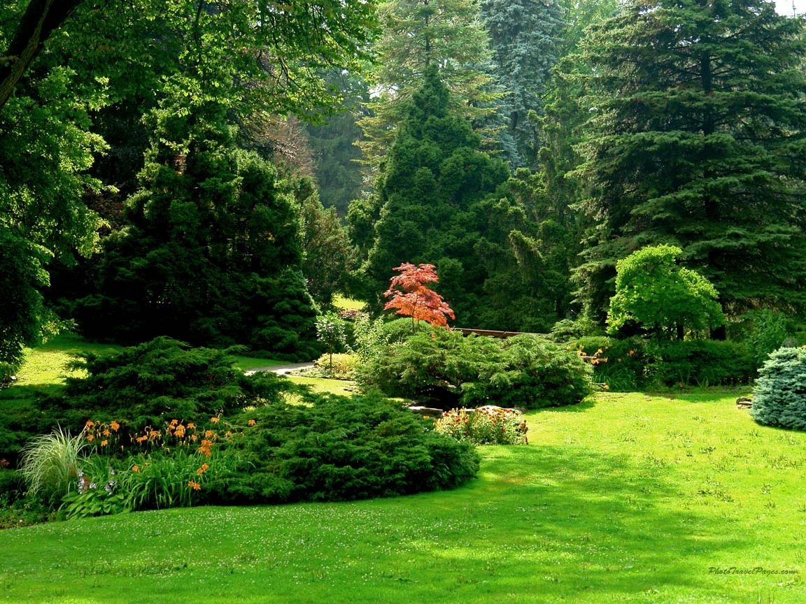 Sunny Garden Field Green Grass Nature Garden Trees - Wordpress Nature Themes Free , HD Wallpaper & Backgrounds