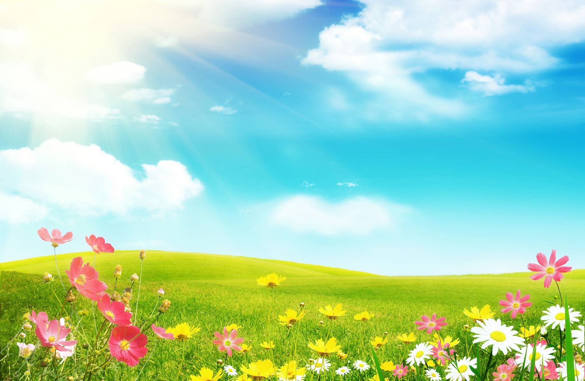 Free Download Spring Wallpapers, - Spring Background Free , HD Wallpaper & Backgrounds