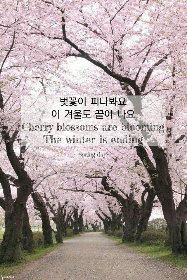 Spring Day Lyrics Wallpapers - Bts Spring Day Lyrics , HD Wallpaper & Backgrounds