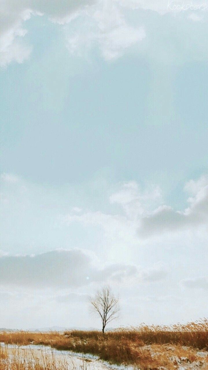 Bts-lockscreenss Wallpaper For Your Phone, Disney Wallpaper, - Tree , HD Wallpaper & Backgrounds