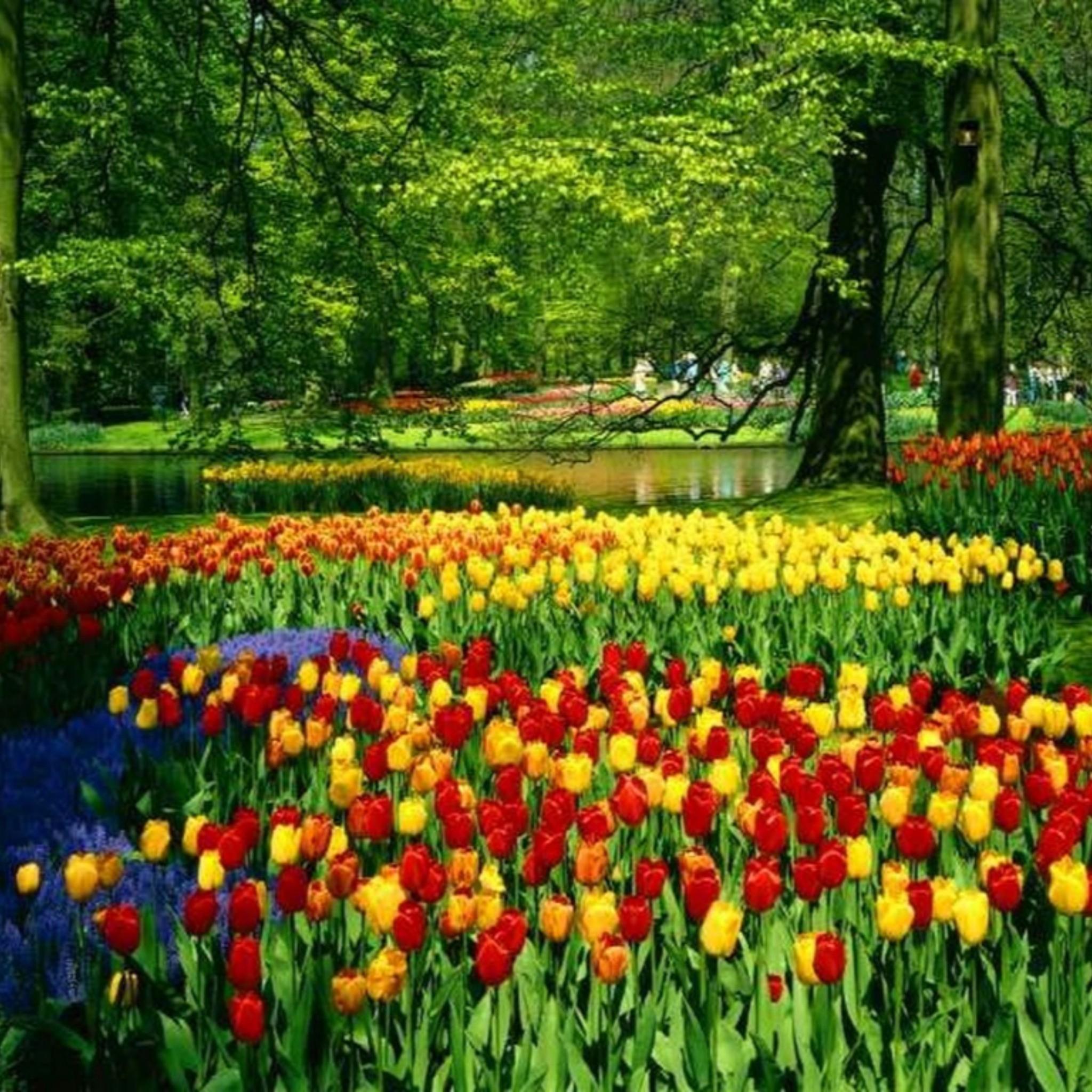Colorful Spring Wallpapers , HD Wallpaper & Backgrounds