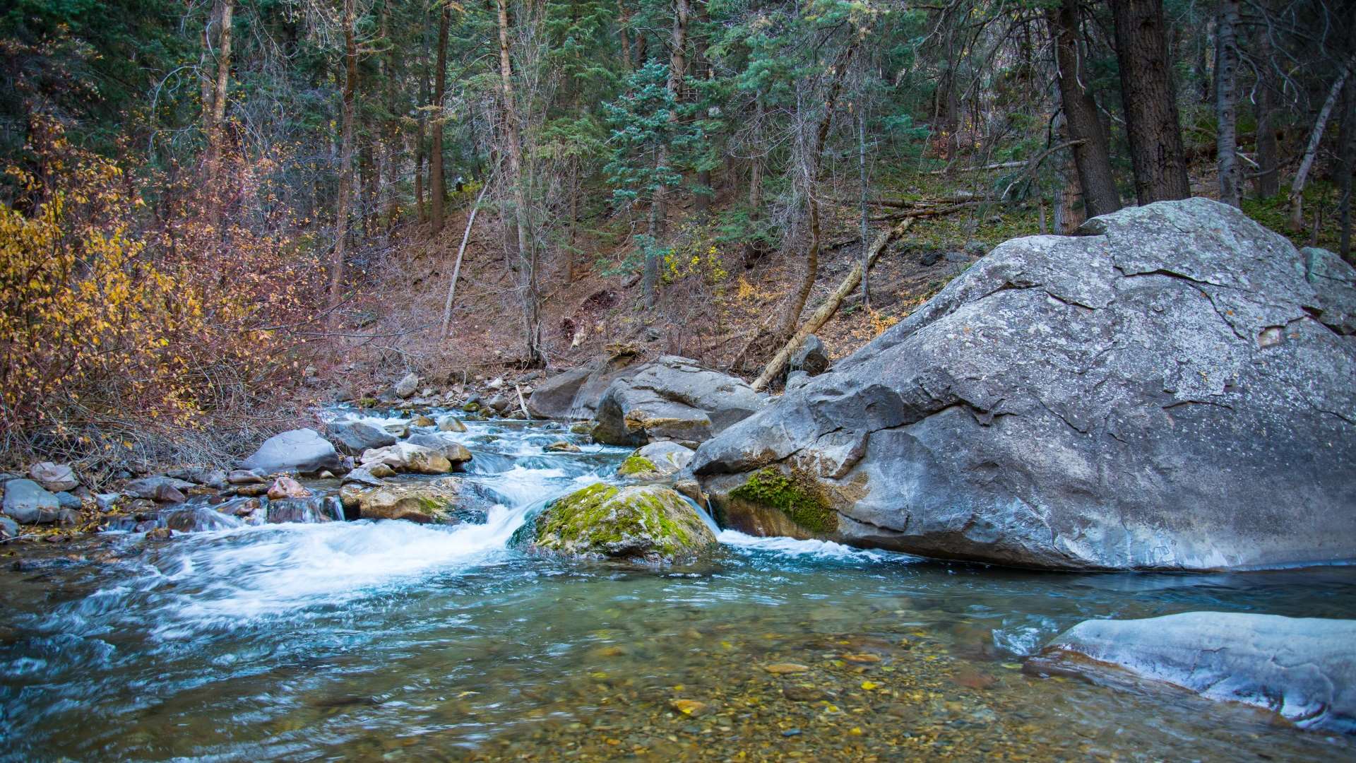 Stream Runs Around Boulder In Early Spring Wallpaper - Early Spring , HD Wallpaper & Backgrounds