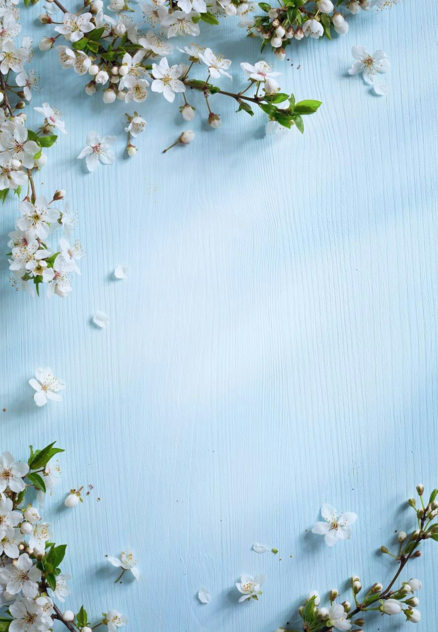 Decoration Boards Spring Backgrounds, Phone Backgrounds, - Spring Background 2019 , HD Wallpaper & Backgrounds