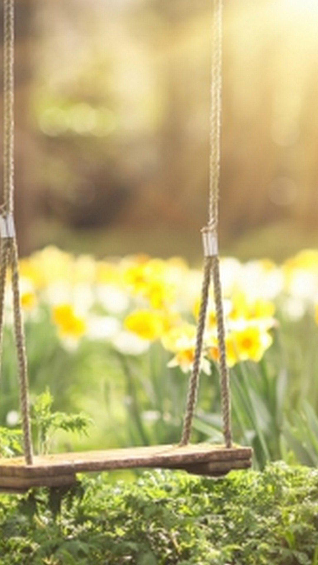Iphone 8 Wallpaper Early Spring With High-resolution - Swing In A Field , HD Wallpaper & Backgrounds