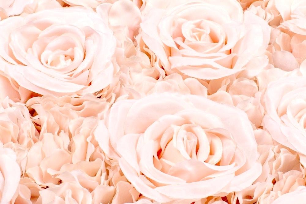 Light Pink Flowers Silk Roses Hydrangeas Flower Wall - Light Pink Flowers , HD Wallpaper & Backgrounds