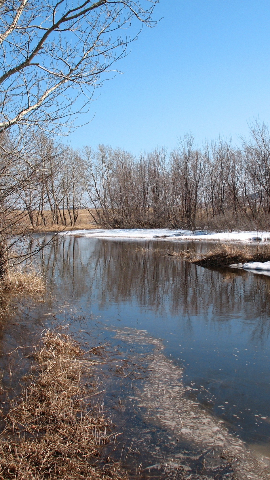 Wallpaper Early Spring, Melting Snow, Landscape, Nature, - Ранняя Весна Природа , HD Wallpaper & Backgrounds