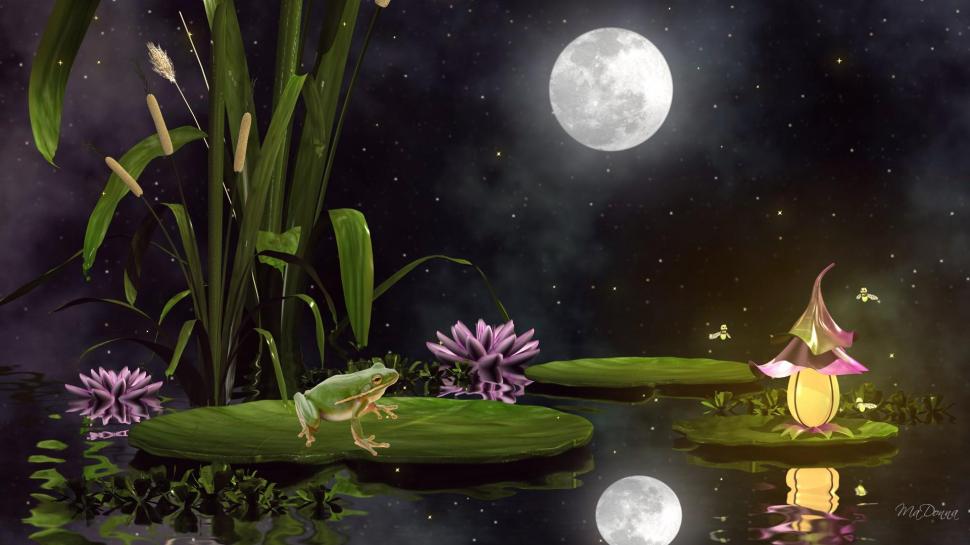 Frogs Fancy Wallpaper - Water Lily And Moon , HD Wallpaper & Backgrounds