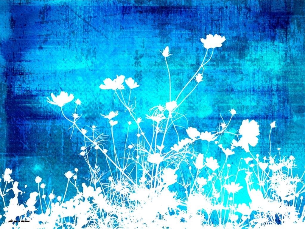 Blue And White Flower Wallpaper 10 Cool Hd Wallpaper - Blue And White Background , HD Wallpaper & Backgrounds