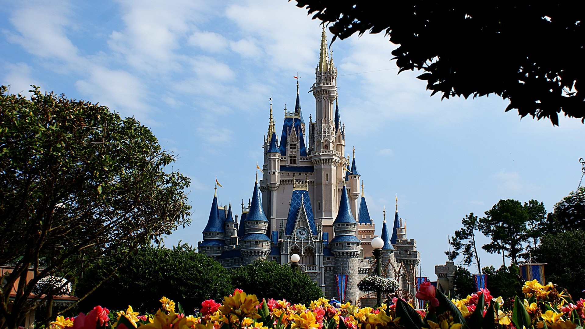 Disney World Wallpaper, Wallpaper, Disney World Wallpaper - Cinderella Castle , HD Wallpaper & Backgrounds