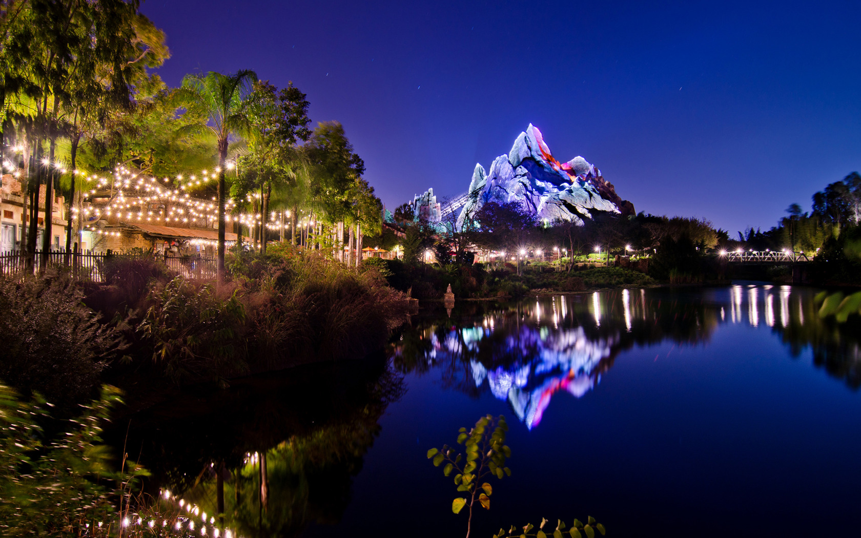 Disney Hd Wallpapers 1080p - Walt Disney Animal Kingdom At Night , HD Wallpaper & Backgrounds