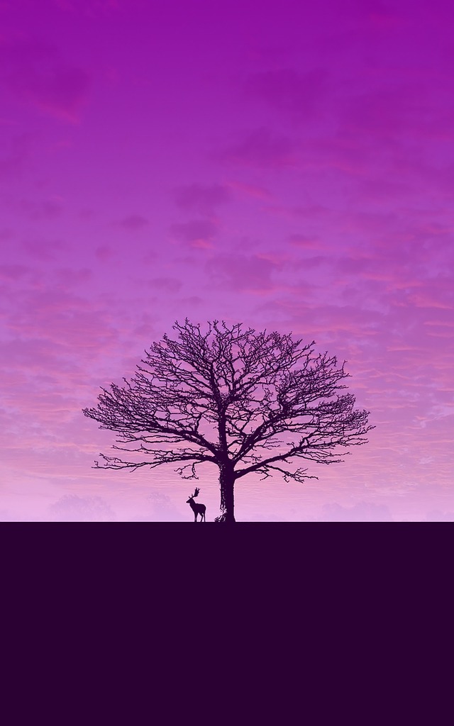 Download Wallpaper Purple, Backgrounds Textures - Black Tree For Picsart , HD Wallpaper & Backgrounds