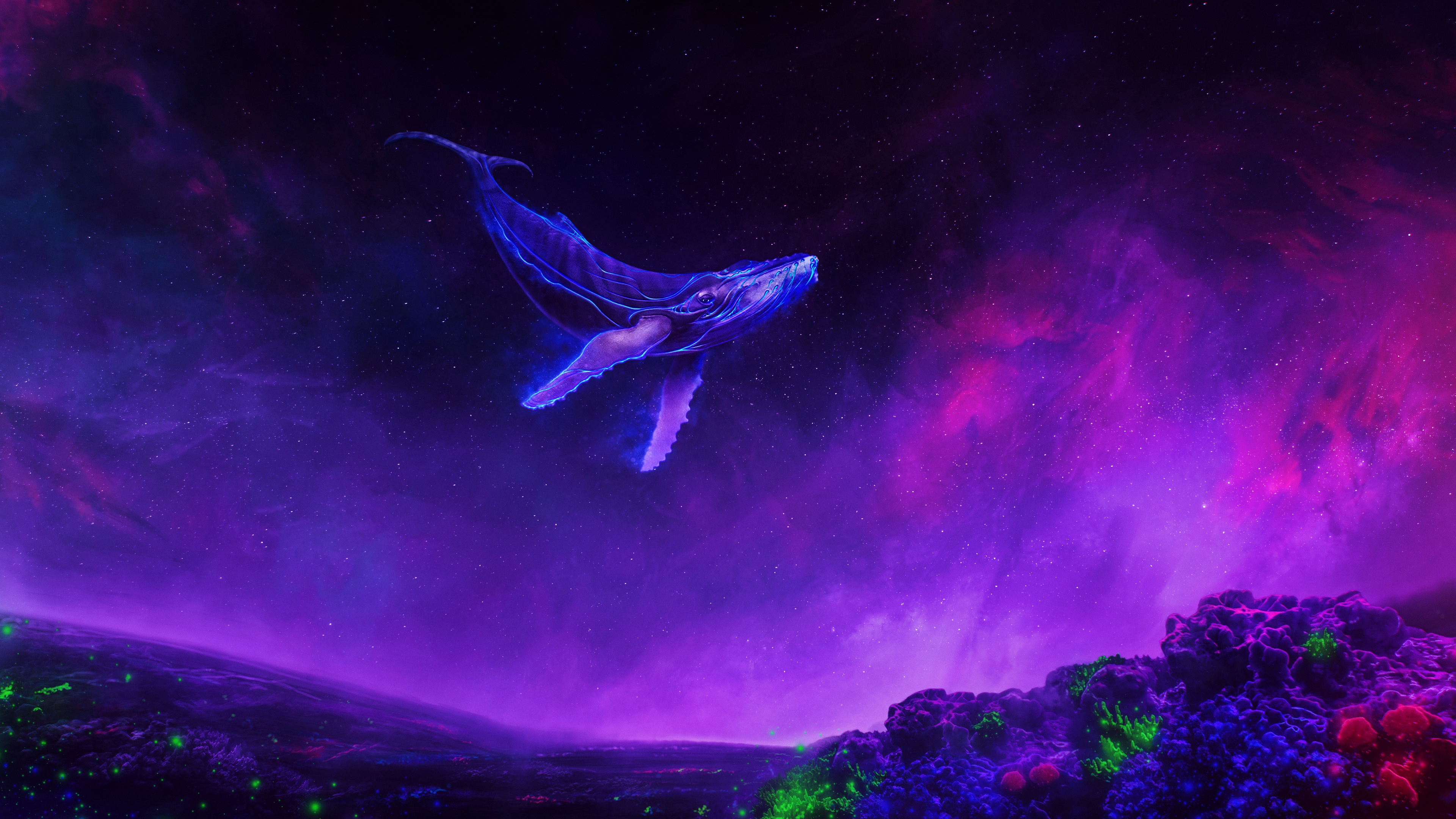 Whale In The Sky Purple , HD Wallpaper & Backgrounds