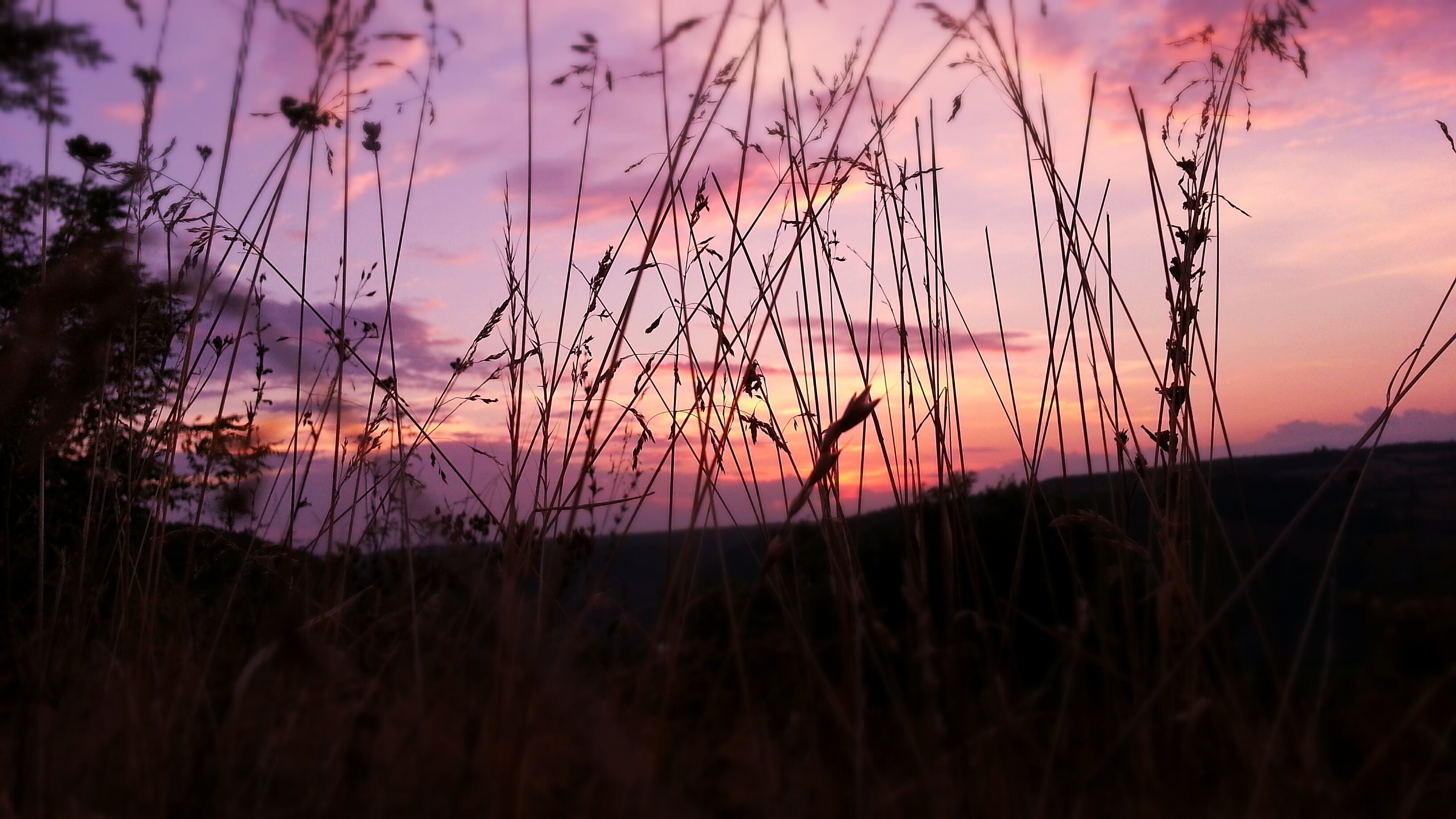 Pink Sky Nature - Pink Nature Wallpaper 4k , HD Wallpaper & Backgrounds