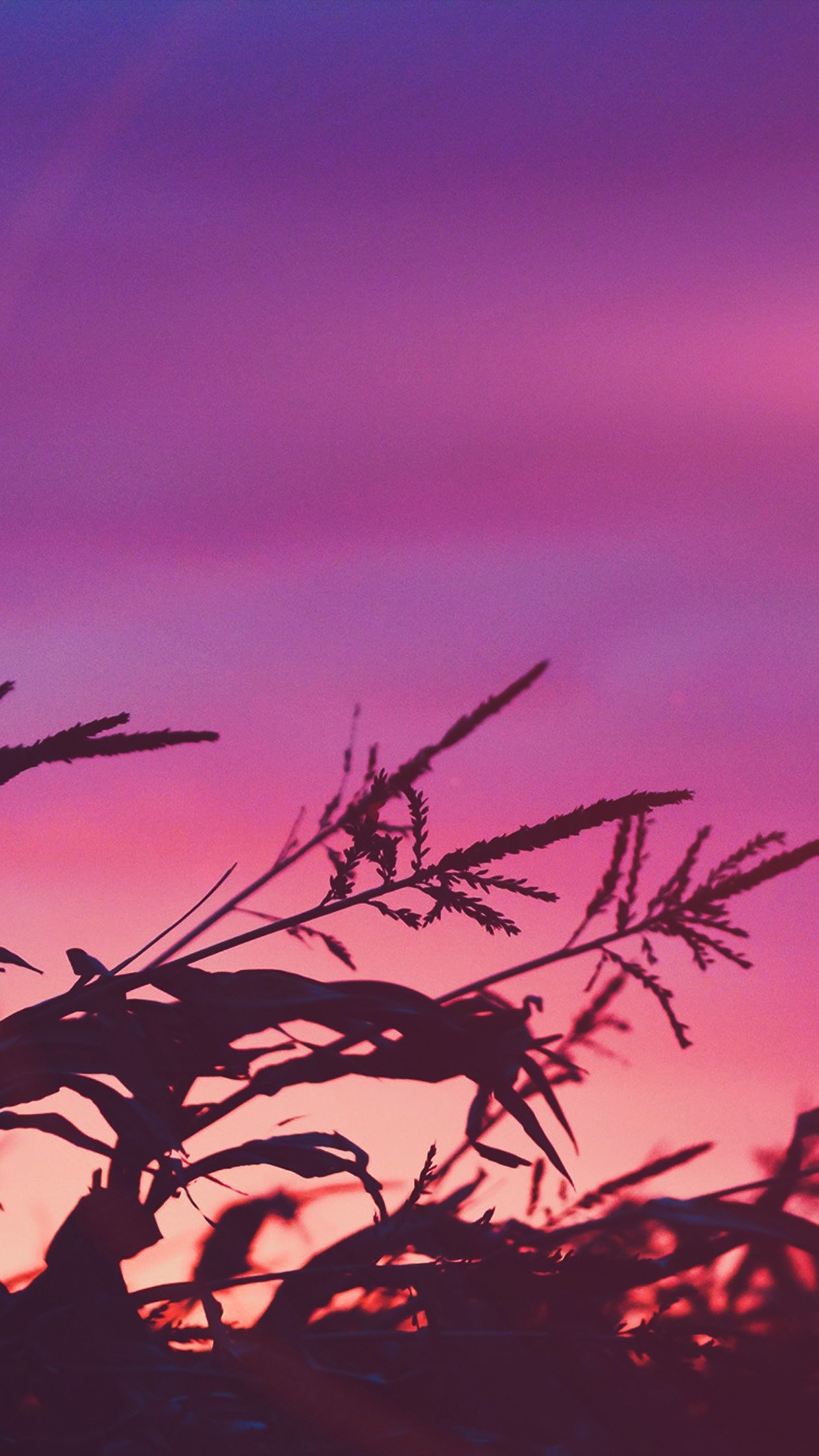 Mountain Yosemite Pink Sky Nature Beautiful Wallpaper - Sunset Iphone Xs Max Wallpaper Full Hd , HD Wallpaper & Backgrounds
