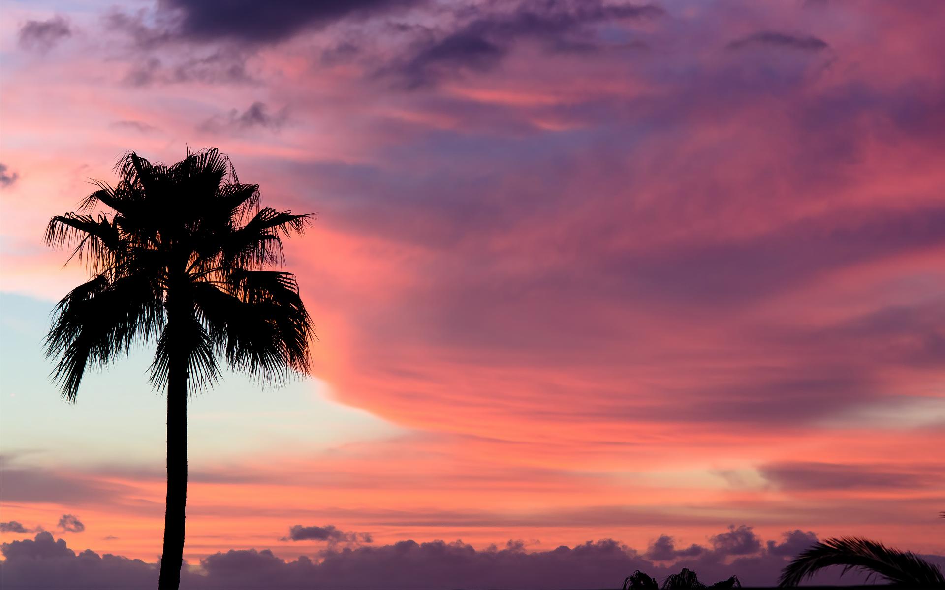 Sunset Sky Wallpaper - Pink Sky Wallpaper Sunset , HD Wallpaper & Backgrounds