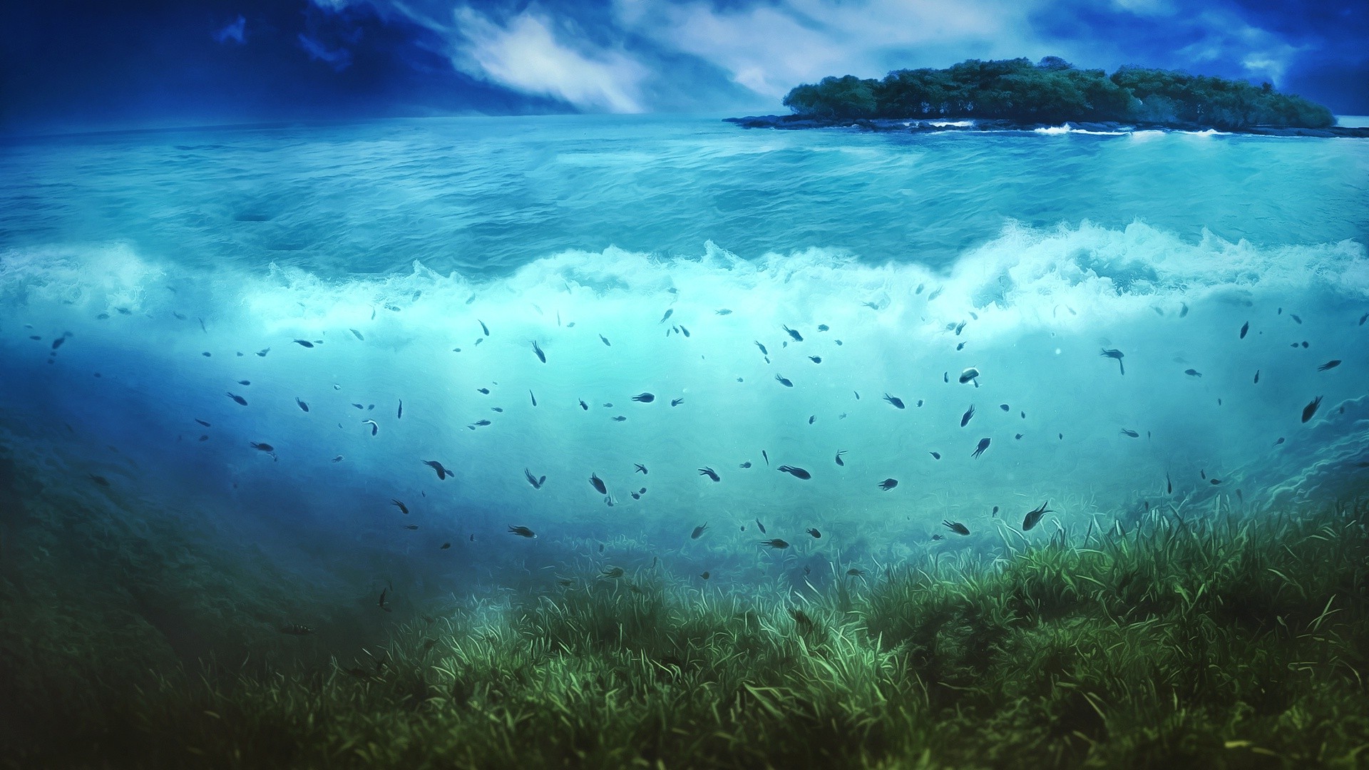 Sea, Nature, Island, Fish, Artwork, Split View Wallpapers - Split View Fish Underwater , HD Wallpaper & Backgrounds