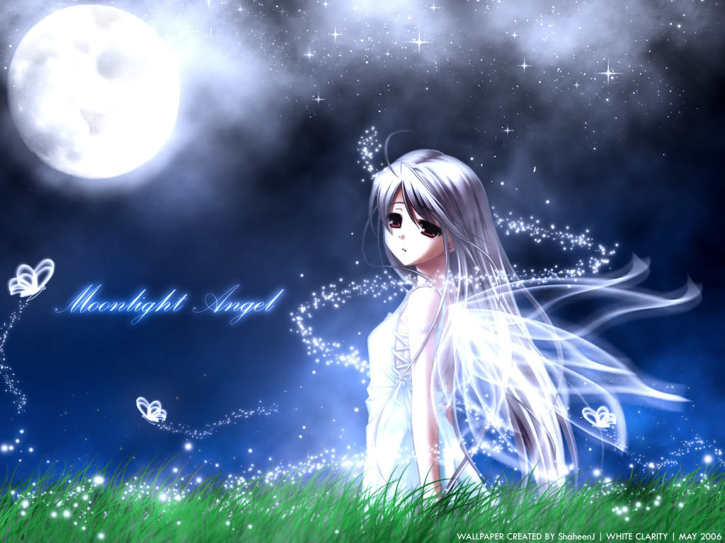 Cute Anime Angel , HD Wallpaper & Backgrounds