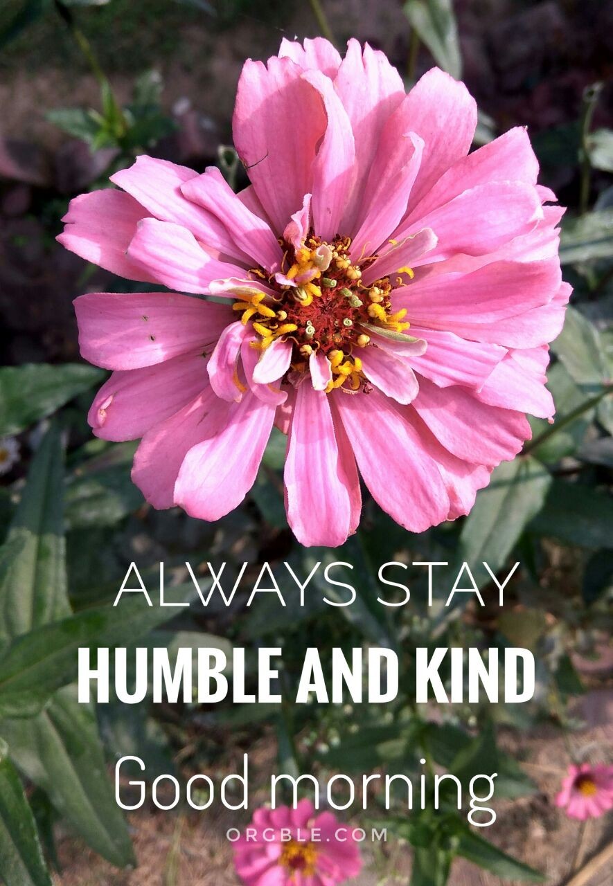 Always Stay Humble And Kind Good Morning - Good Morning Be Kind , HD Wallpaper & Backgrounds