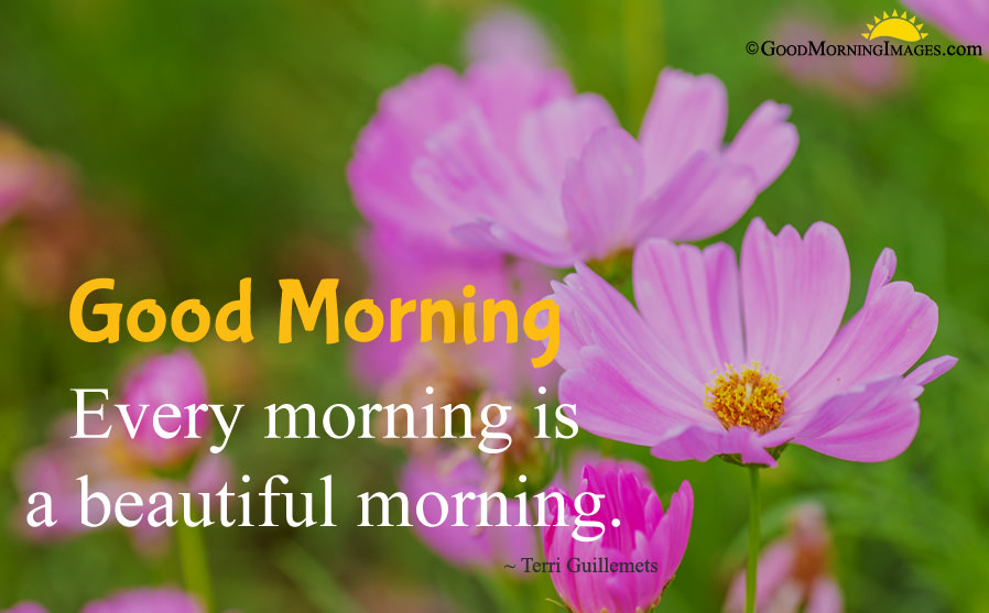 Good Morning Wishes Image In Hd - Good Morning Full Hd , HD Wallpaper & Backgrounds