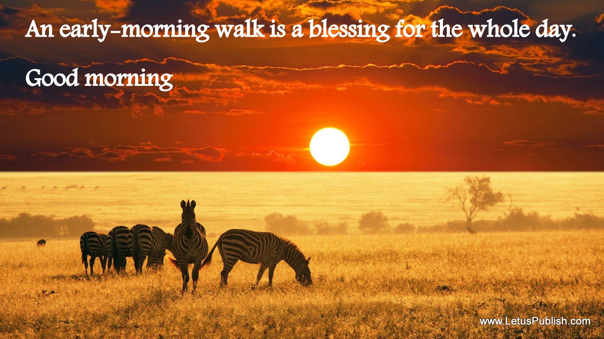 Beautiful Sun Rise Good Morning Wallpaper - Good Morning Early Morning , HD Wallpaper & Backgrounds