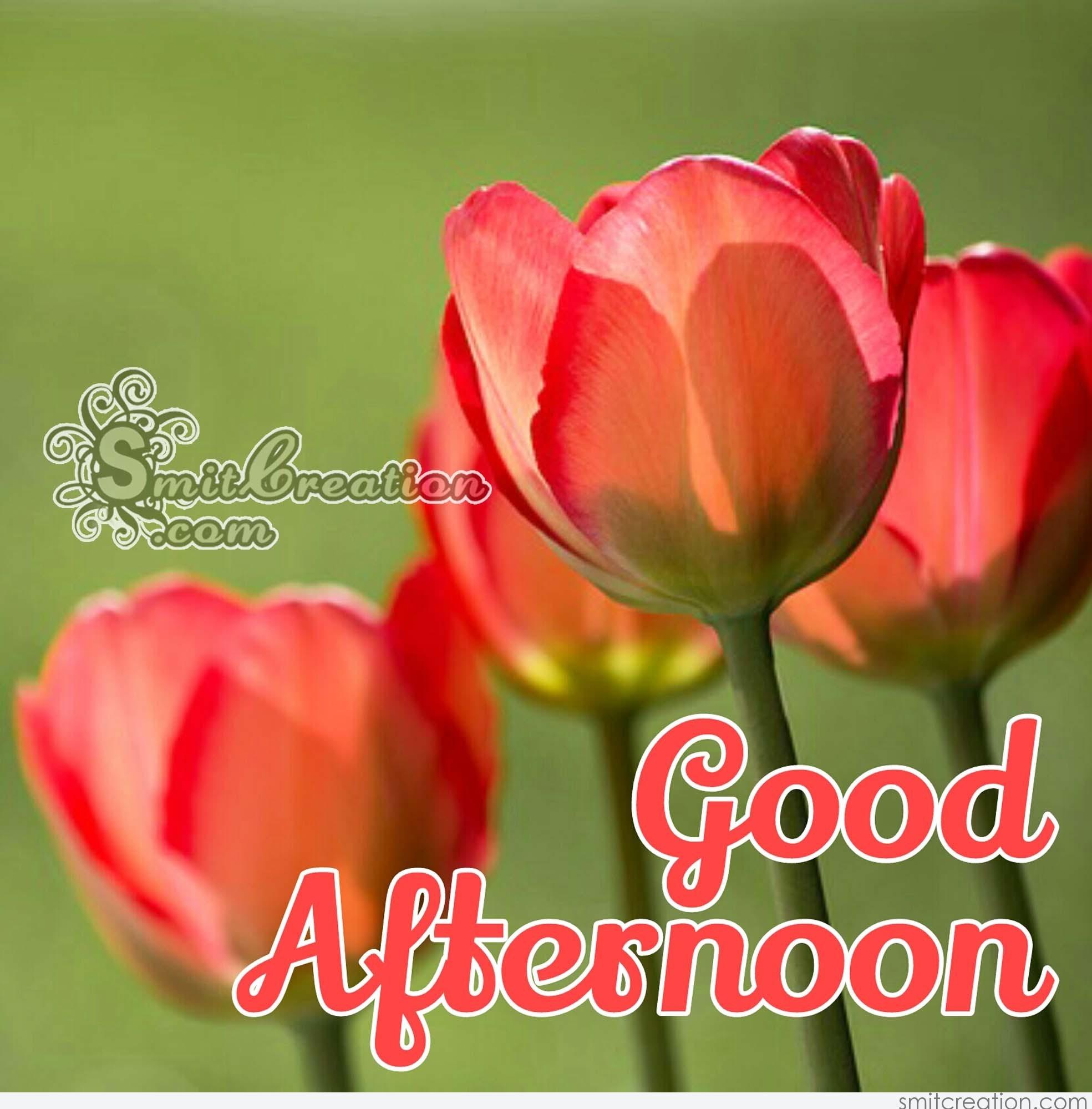 Download Good Morning Happy Wednesday God Bless You 1880089