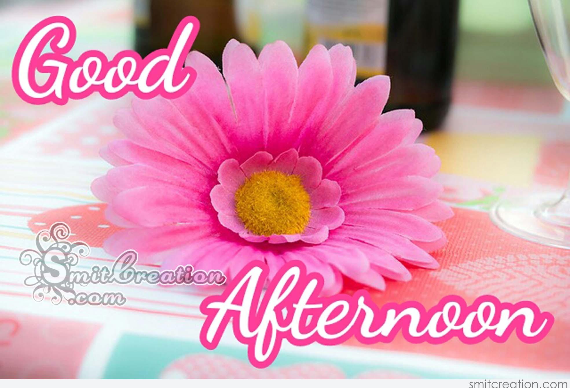 Download - Good Afternoon With Flowers , HD Wallpaper & Backgrounds