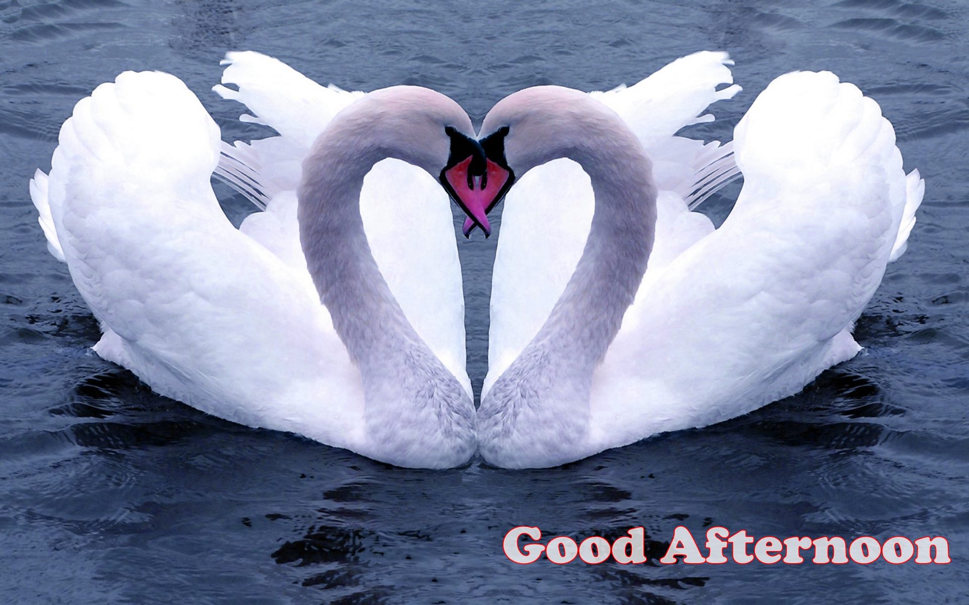Good - Good Afternoon Images Hd Love , HD Wallpaper & Backgrounds