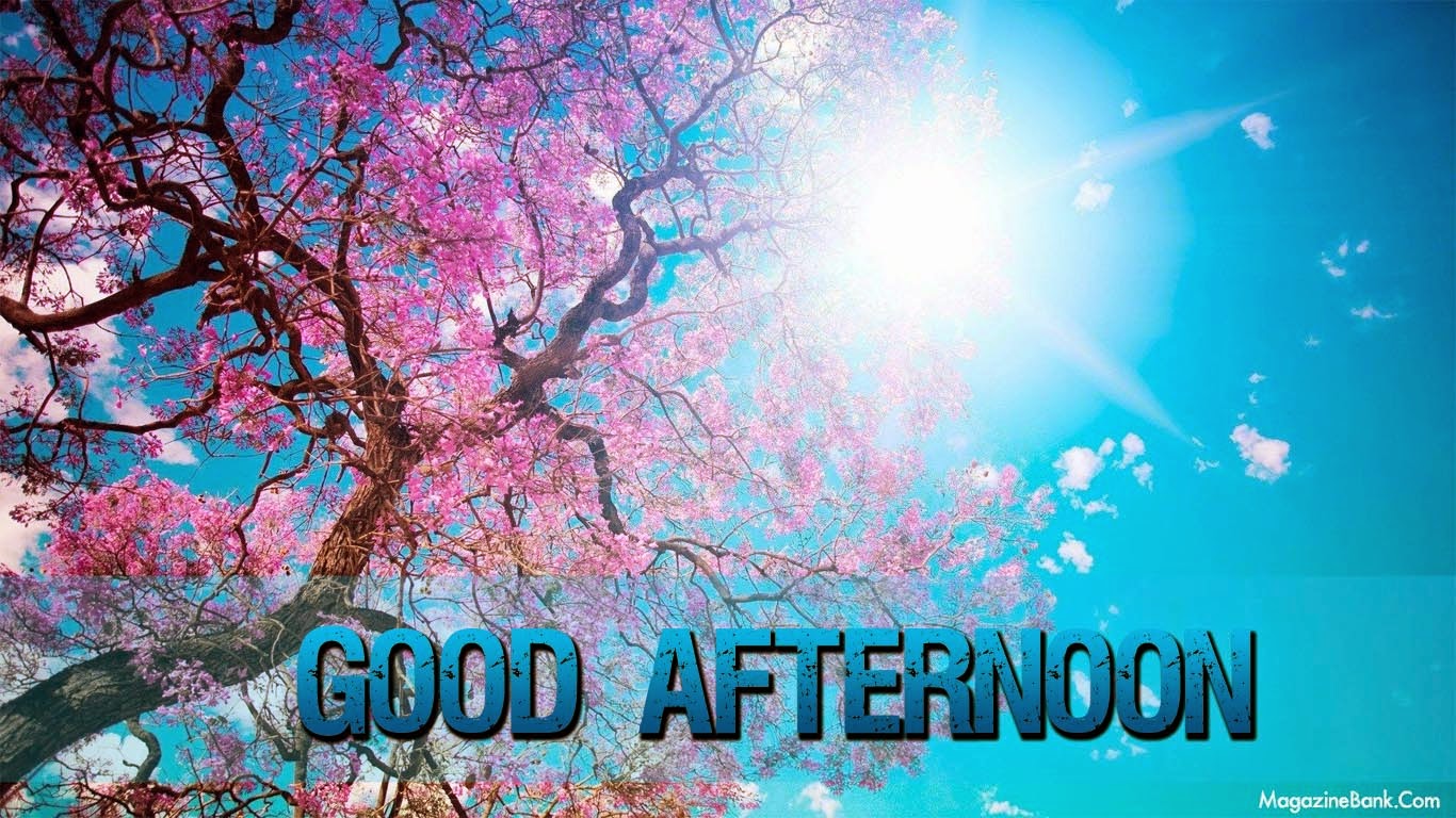 Good Afternoon Images With Quotes In Hindi Funny Gif - Cherry Blossom Tree Sun , HD Wallpaper & Backgrounds