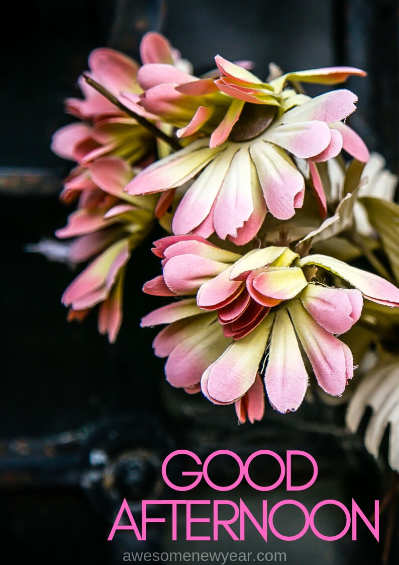 Good Afternoon Quotes - Flower Good Afternoon Wishes , HD Wallpaper & Backgrounds