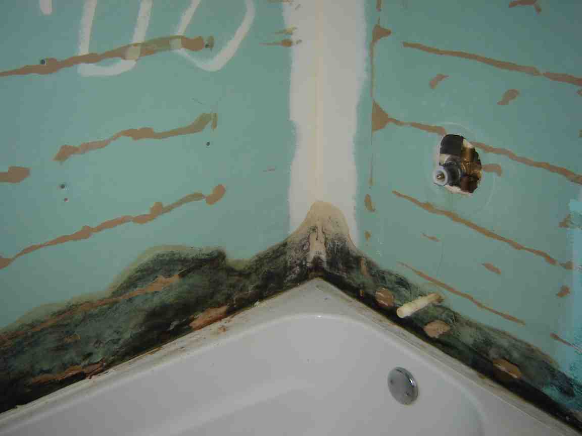 Mold Growing Behind Bathroom Wall In Toronto Home - Molds In Bathroom Walls , HD Wallpaper & Backgrounds