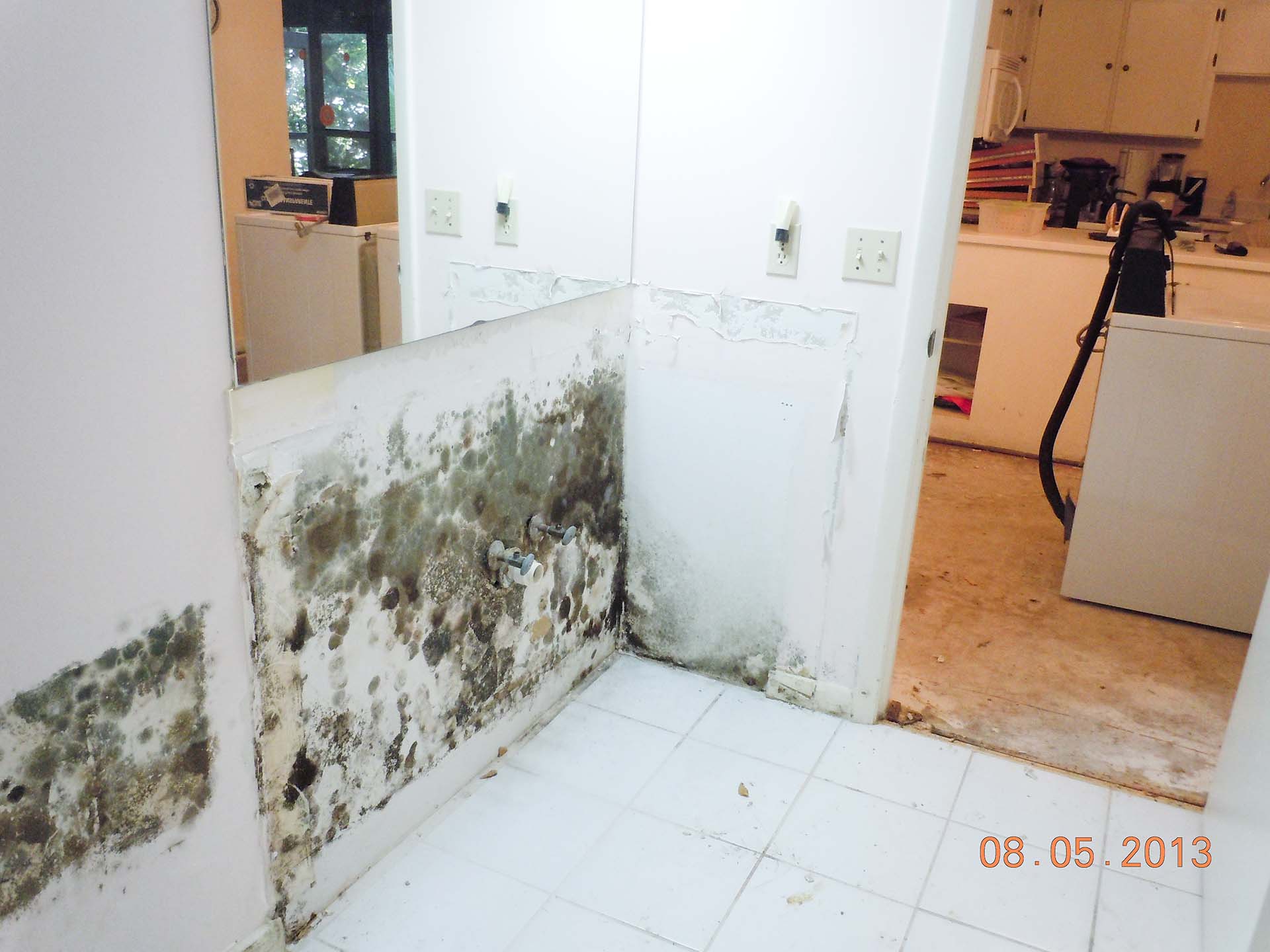 Mold Colonies Found Behind A Bathroom Vanity - Tile , HD Wallpaper & Backgrounds