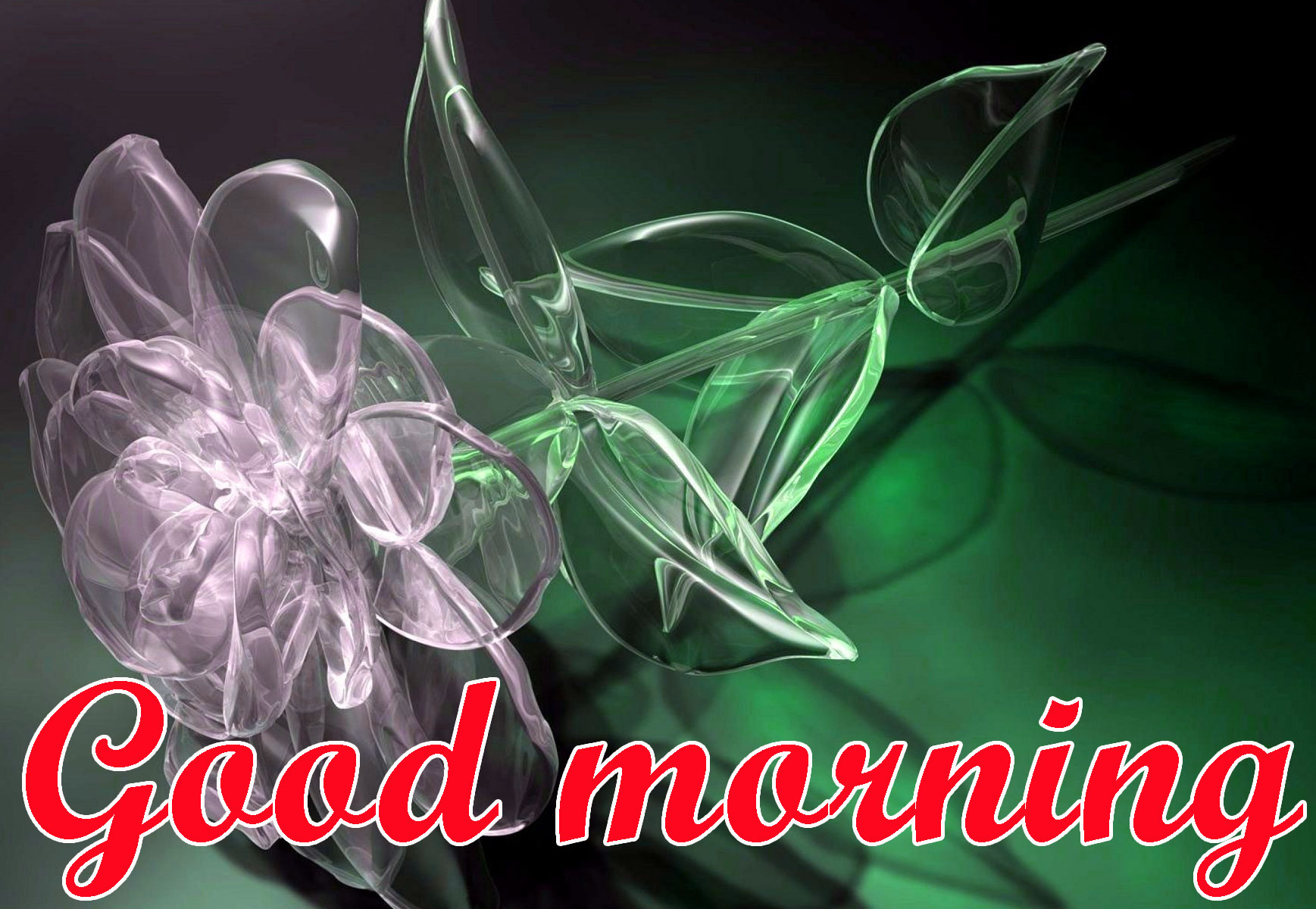 Beautiful 3d Good Morning Images Photo Pics Free Hd - Good Morning Image Hd 3d , HD Wallpaper & Backgrounds