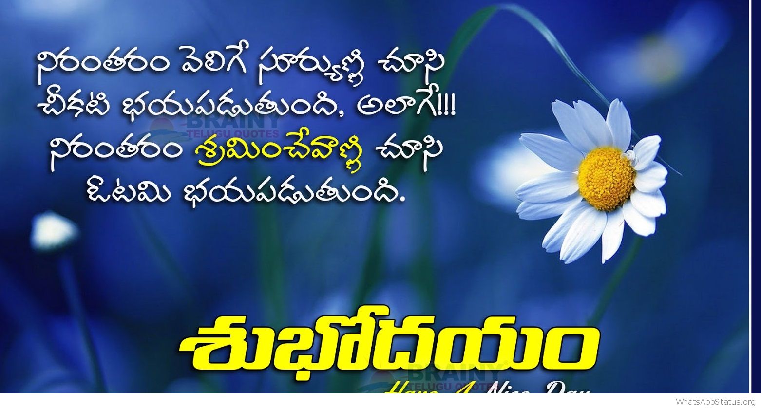 Good Night And Good Morning Quotes, Pics, Images For - Good Morning Telugu Quotes , HD Wallpaper & Backgrounds