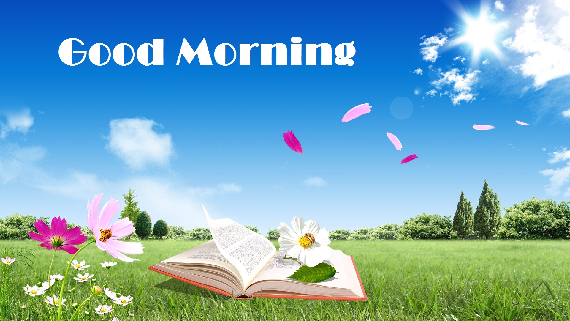 Good Morning Wishes Digital Wide Wallpaper - 1920 Hd Good Morning , HD Wallpaper & Backgrounds
