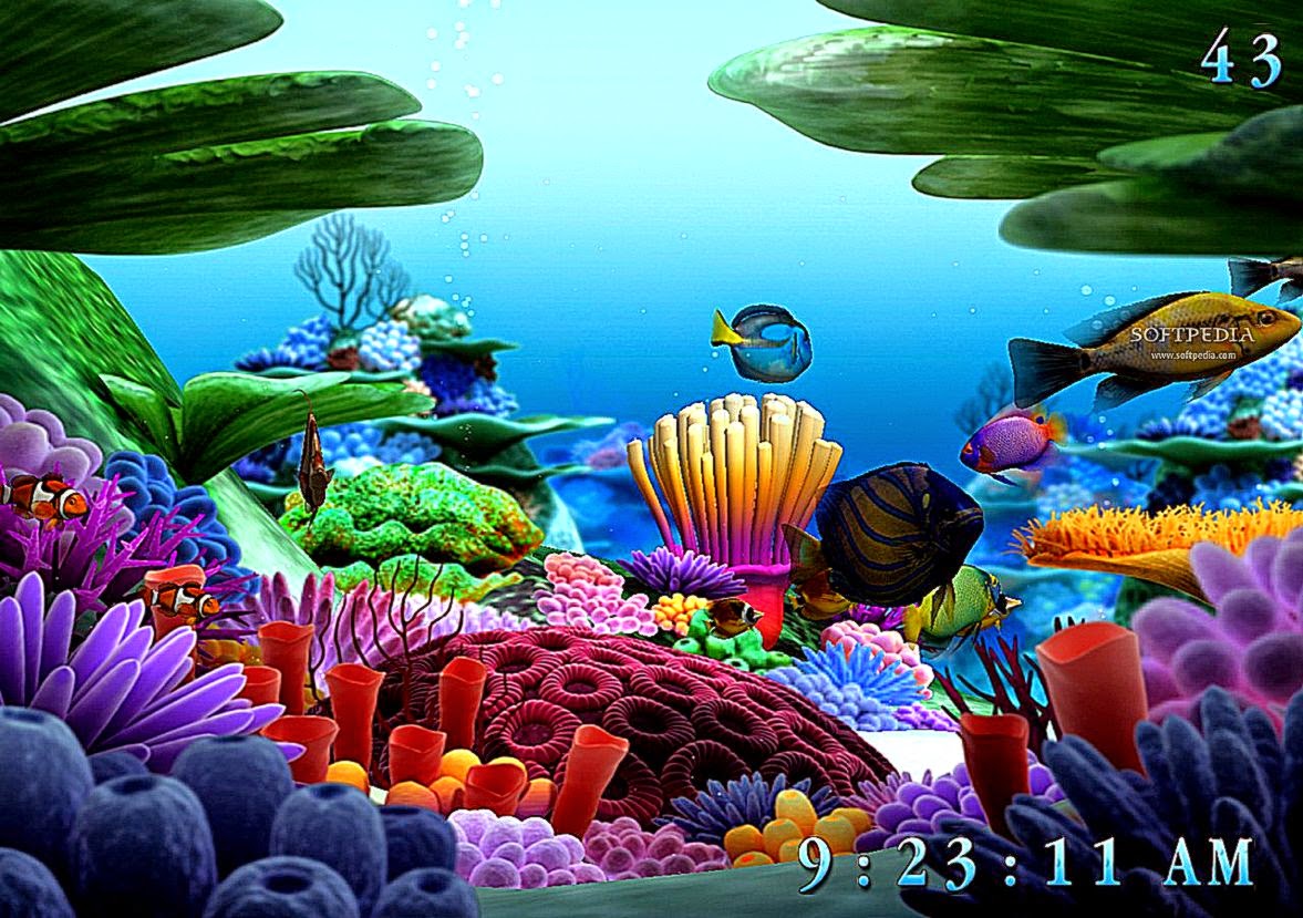 View Original Size - Aquamarine Life , HD Wallpaper & Backgrounds