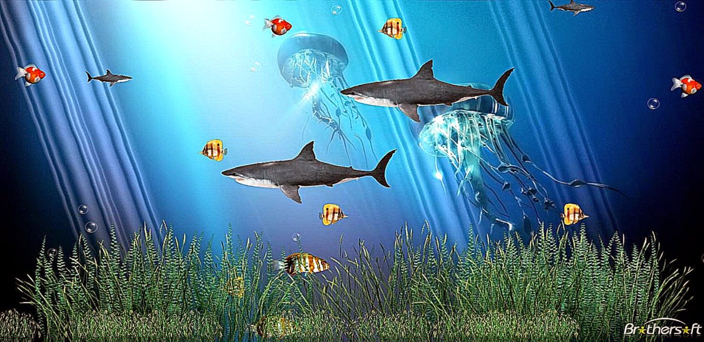 Computer Screensavers And Wallpaper-1nz746l - Moving Fish Wallpaper Windows 7 , HD Wallpaper & Backgrounds