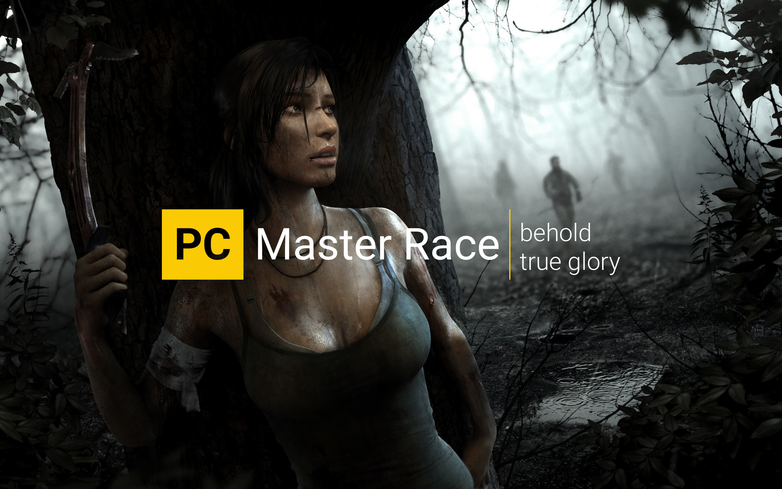 Lara Croft, Tomb Raider, Pc Master Race, Pc Gaming - Shadow Of The Tomb Raider , HD Wallpaper & Backgrounds