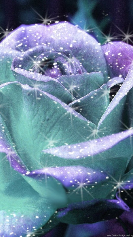 12 Types Beautiful Rose Flower Wallpapers Free Download - Glitter Wallpaper Roses , HD Wallpaper & Backgrounds