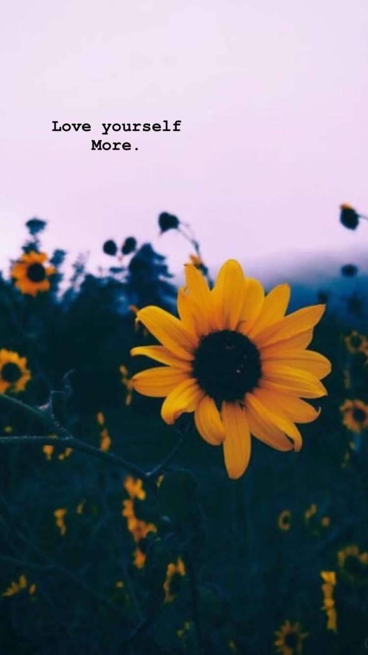 #sunflower - Aesthetic Cute Sunflower Background , HD Wallpaper & Backgrounds