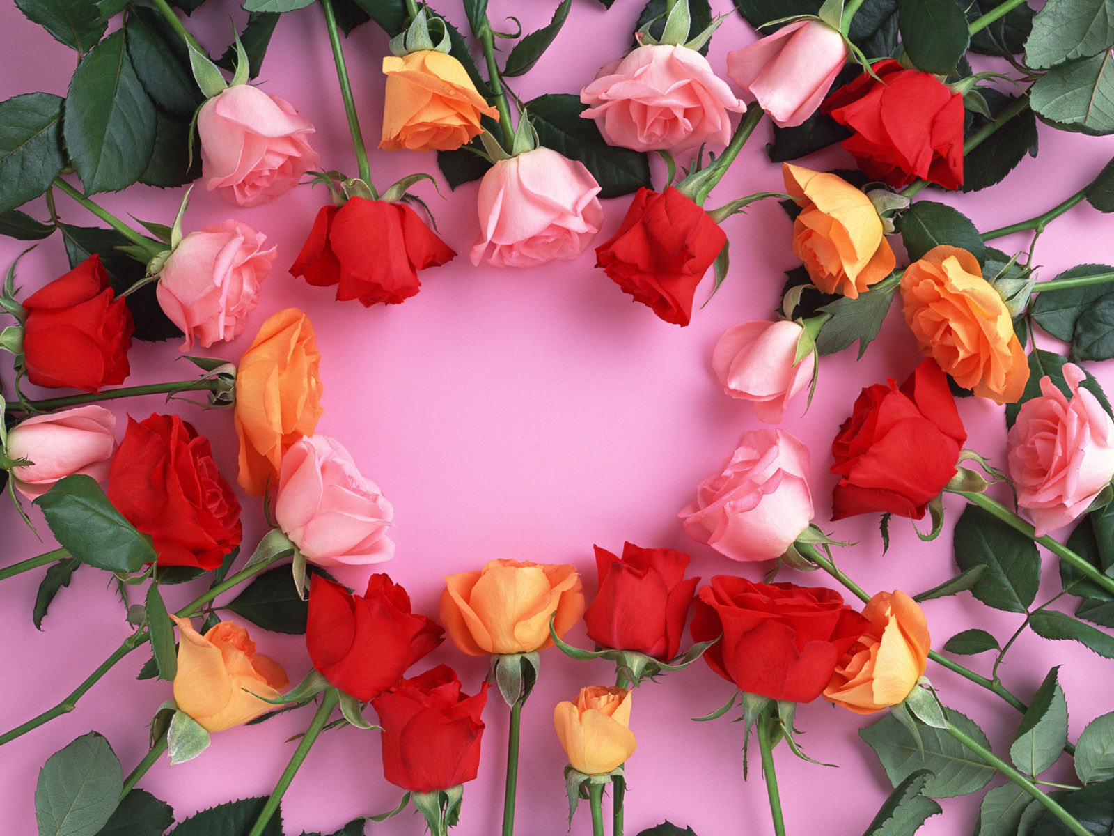 Beautiful Flowers - Top 100 Flower Beautiful , HD Wallpaper & Backgrounds