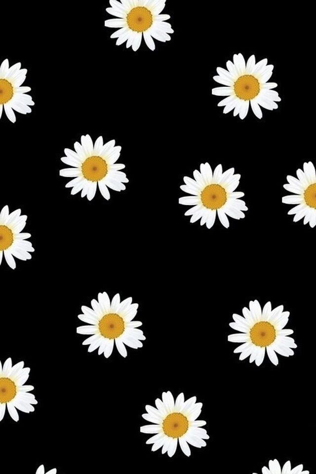 Daisy Wallpaper, Sea Wallpaper, Tumblr Wallpaper, Pattern - Daisy Flower Background , HD Wallpaper & Backgrounds