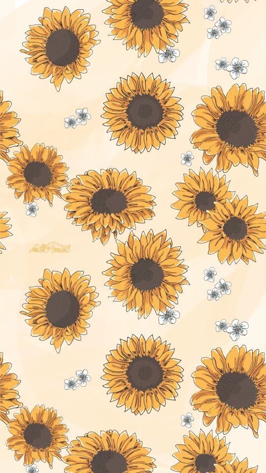 Sunflowers Background, Phone Backgrounds, Wallpaper - Aesthetic Sunflower , HD Wallpaper & Backgrounds