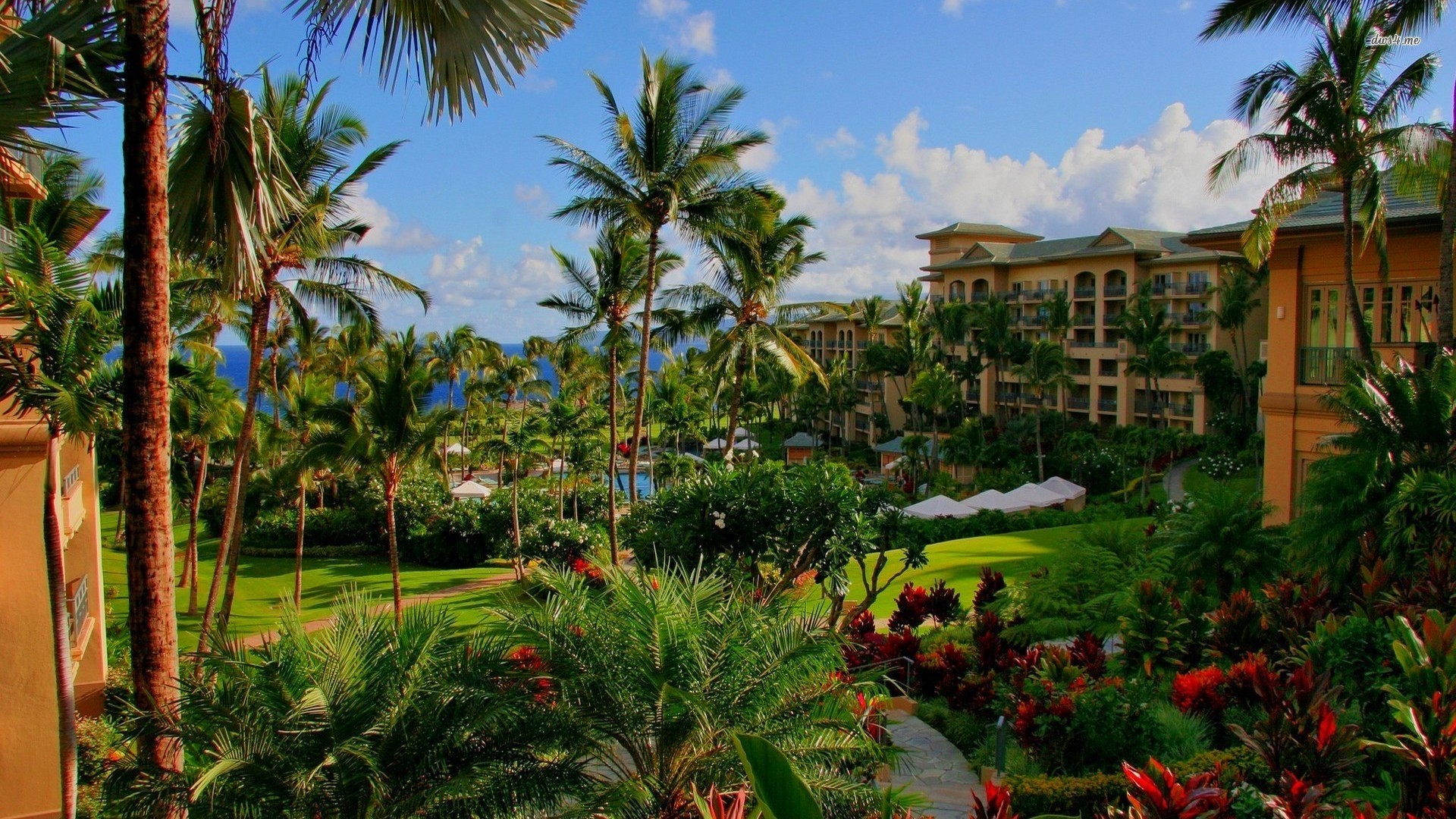 World Beautiful Trees Hotel Hawaiian Grass Flowers - Resort , HD Wallpaper & Backgrounds