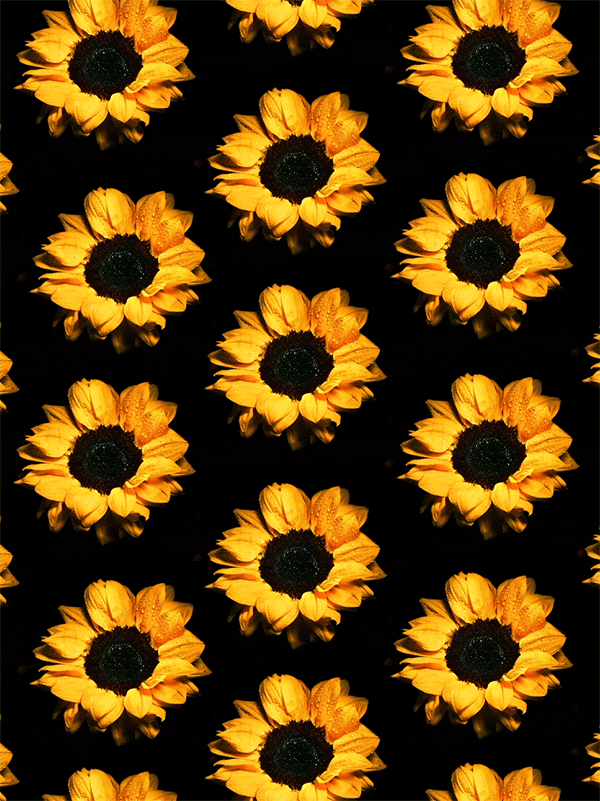 Iphone Wallpaper Sunflower Cartoon , HD Wallpaper & Backgrounds