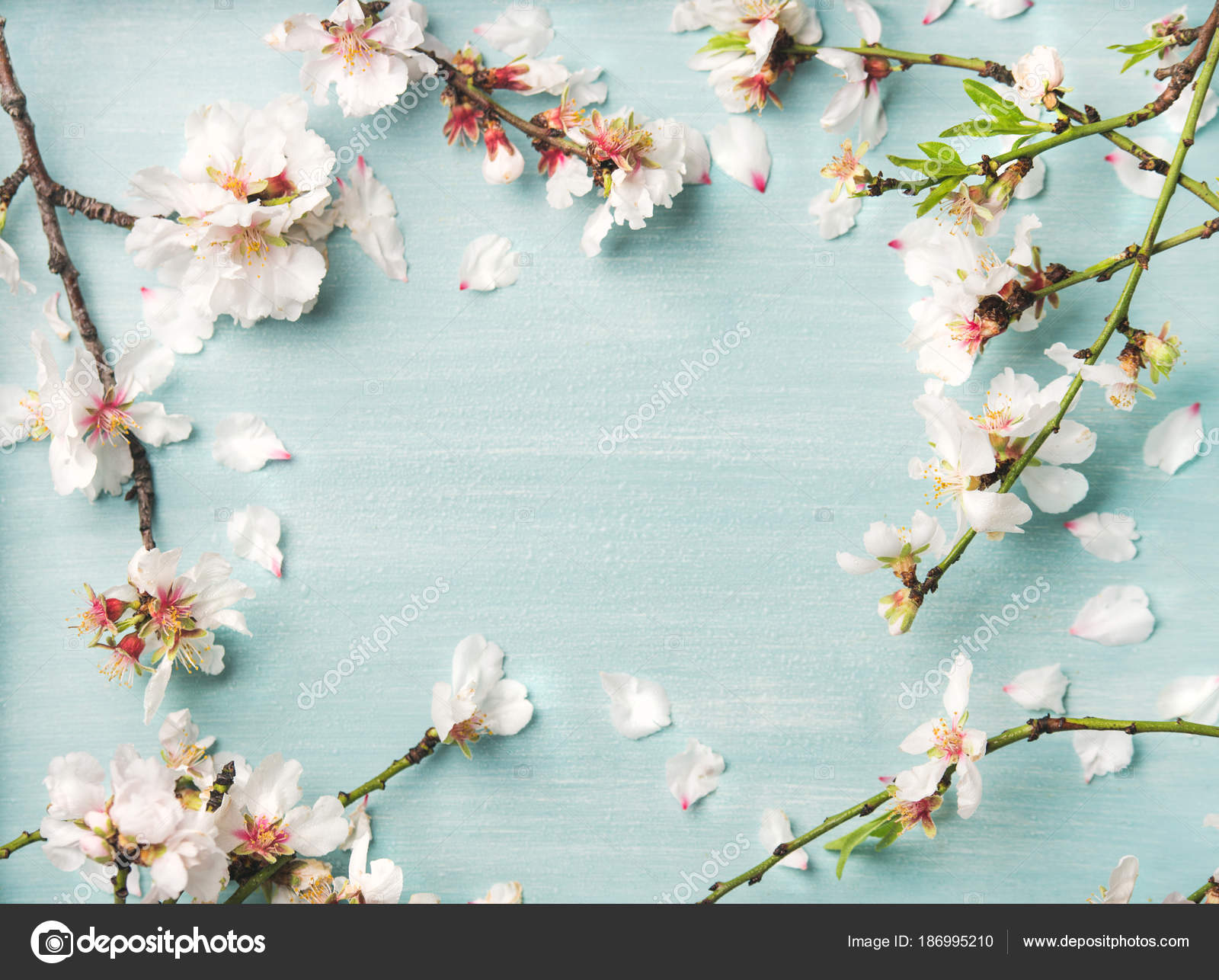 Spring Floral Background Texture Wallpaper White Almond - Blue Background With Flowers , HD Wallpaper & Backgrounds