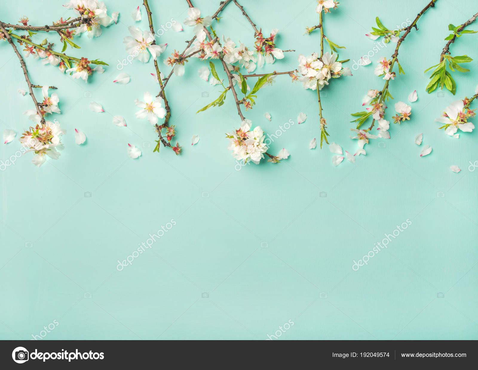 Spring Floral Background Texture Wallpaper White Almond - Blue Background With Flowers , HD Wallpaper & Backgrounds