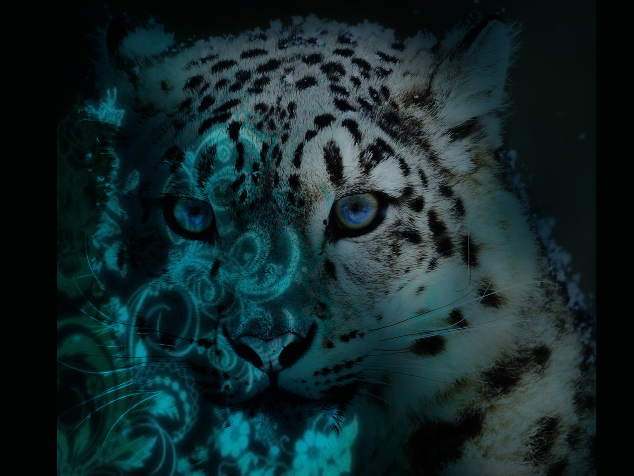 Desktop Mac Os X Snow Leopard Wallpapers Hd - Snow Leopard Background Phone , HD Wallpaper & Backgrounds