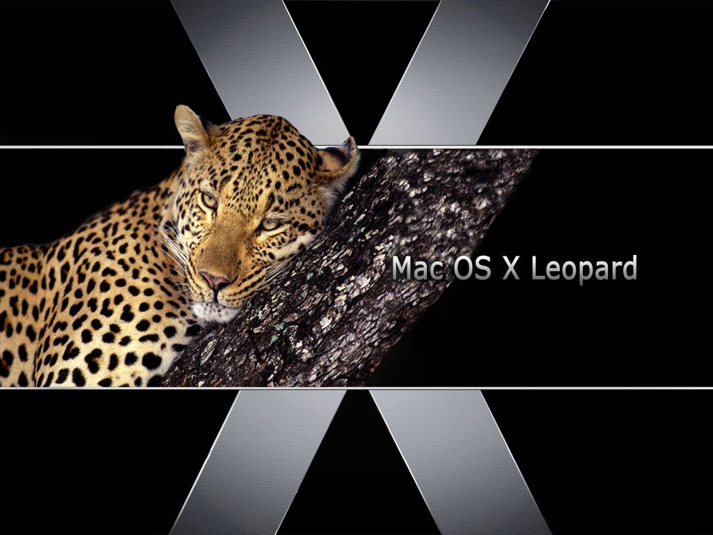 Firefox Stopped On Mac Os X Leopard - Hd Mac Os Léopard , HD Wallpaper & Backgrounds