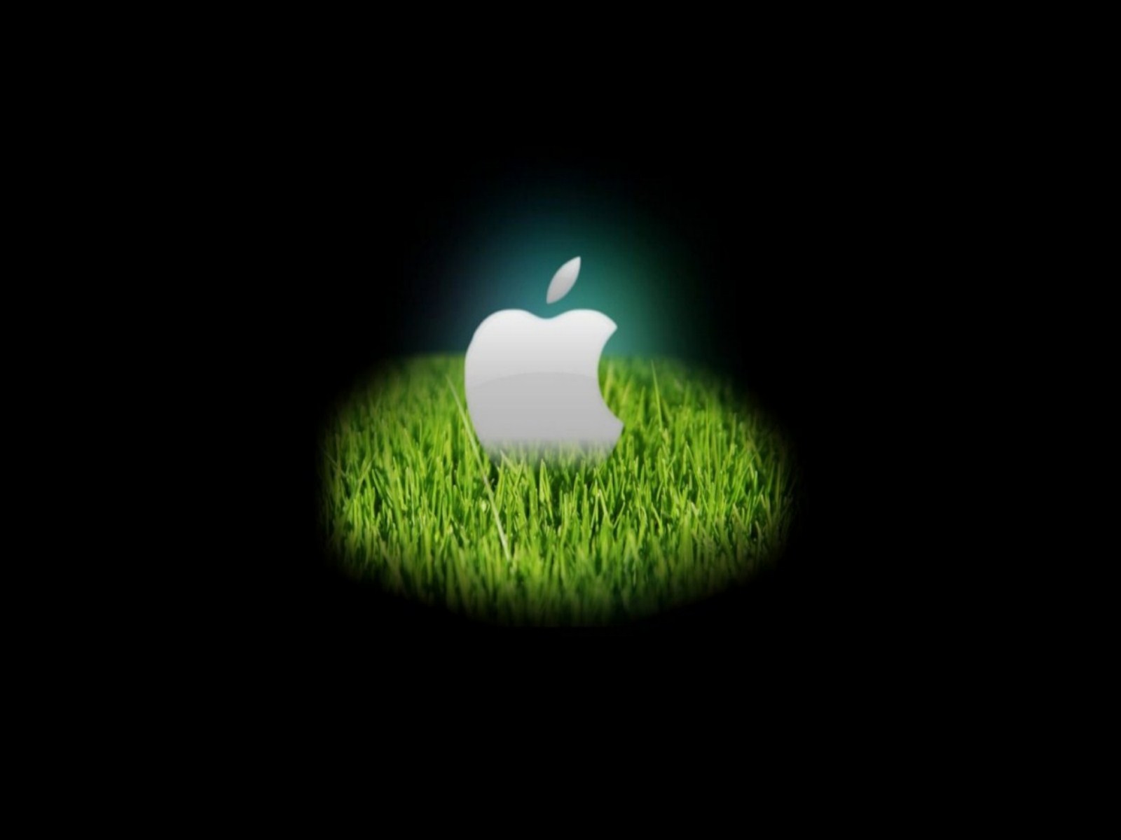 Top Wallpaper Mac Os X Snow Leopard - Iphone Logo Green And Black Image Hd , HD Wallpaper & Backgrounds