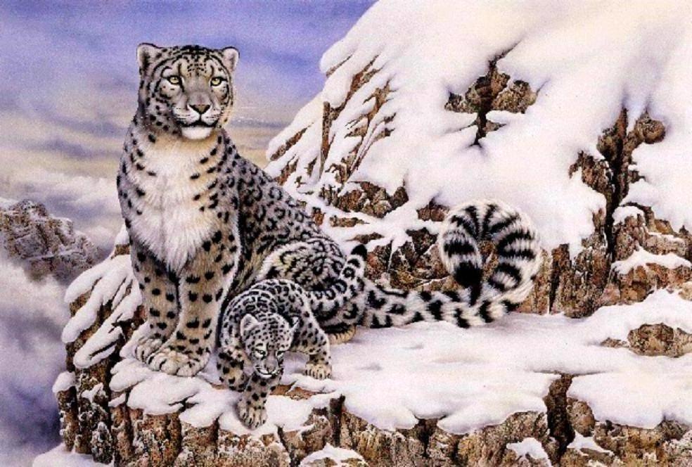 Snow Leopard Background Iphone Wallpaper 14930 Hd - Desktop Wallpaper Snow Leopard Hd , HD Wallpaper & Backgrounds
